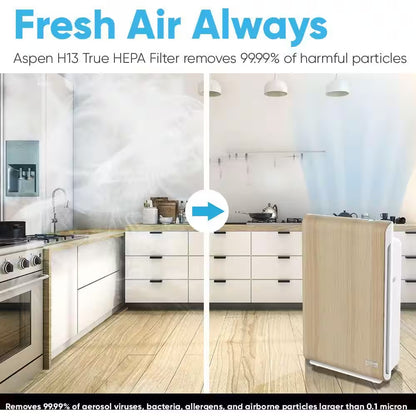 Smart Air Purifier