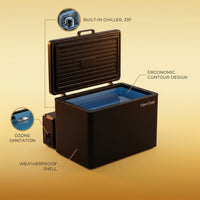 Cold Plunge Tub Built for Home Wellness, Built-In Chiller, Ozone Sanitation, Weatherproof Design — infographic