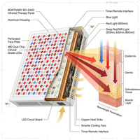 Red Light Therapy Full Body Panel, 480/630/660/810/830/850/1060Nm Blue Red near Infrared Light Device with 480 Dual Chip Clinical Grade Leds, Remote Control, Timer for Face, Body, BO-2400 — How It Works